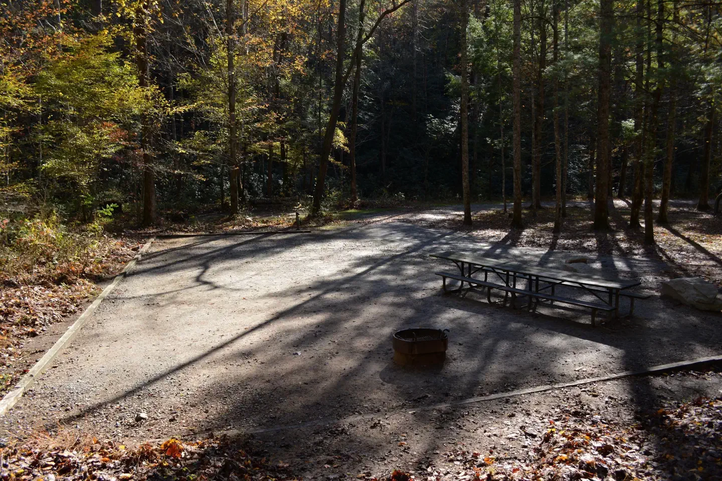 12 Group Site