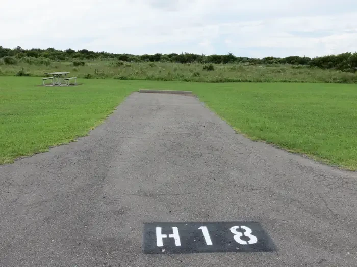 H018