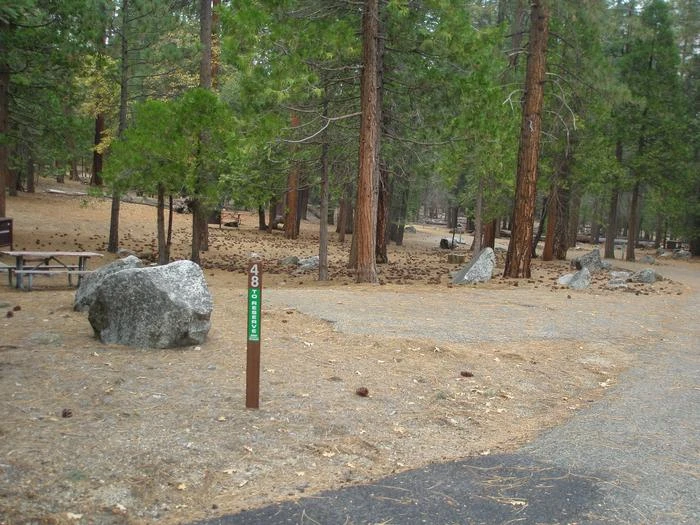Site: 48