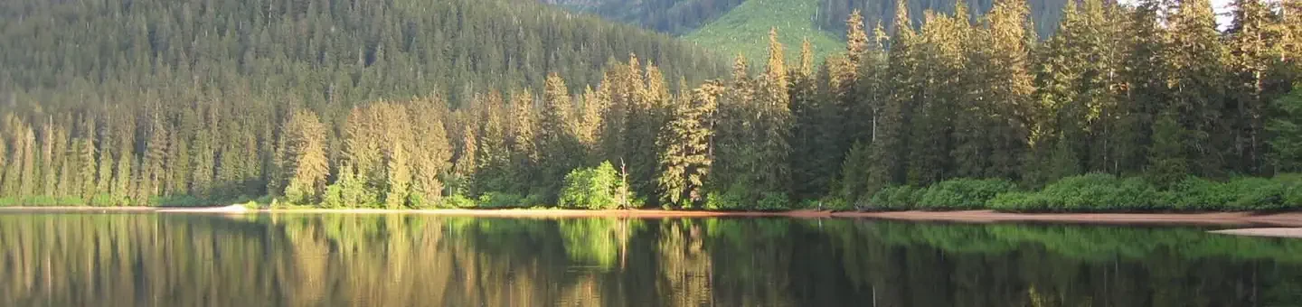 Kook Lake Cabin
