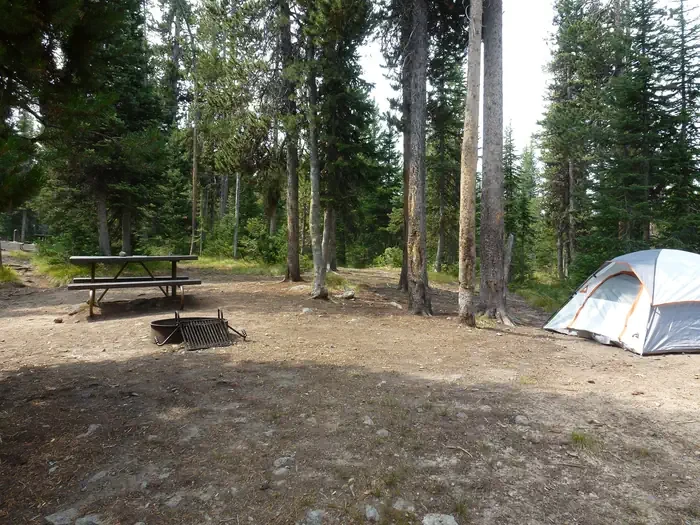 Lewis Lake site #62