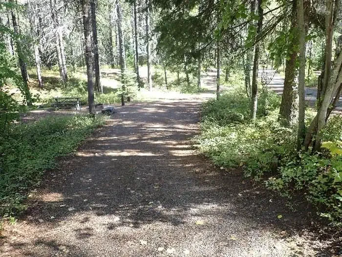 C131