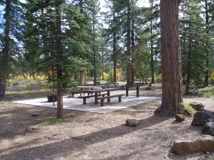 Duck Creek