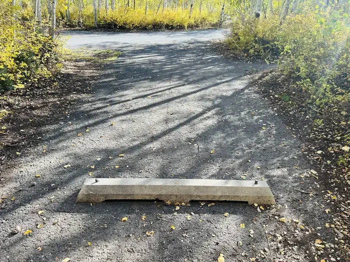 A09