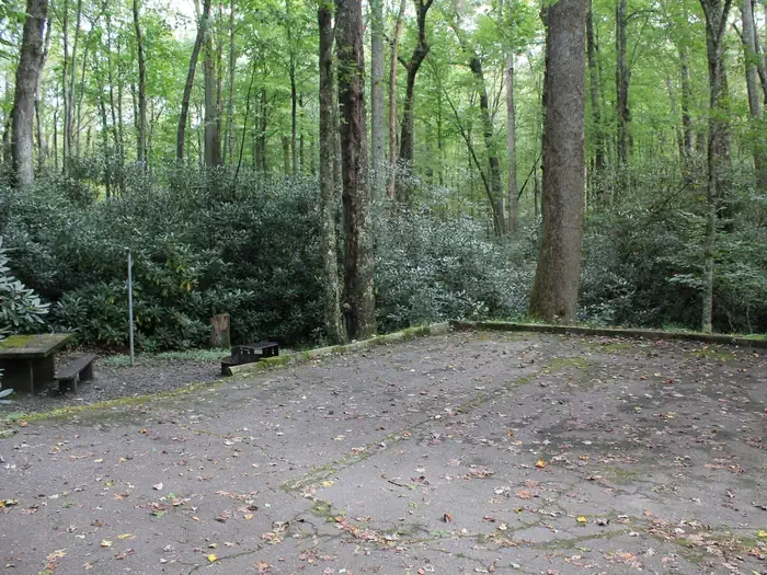 E13