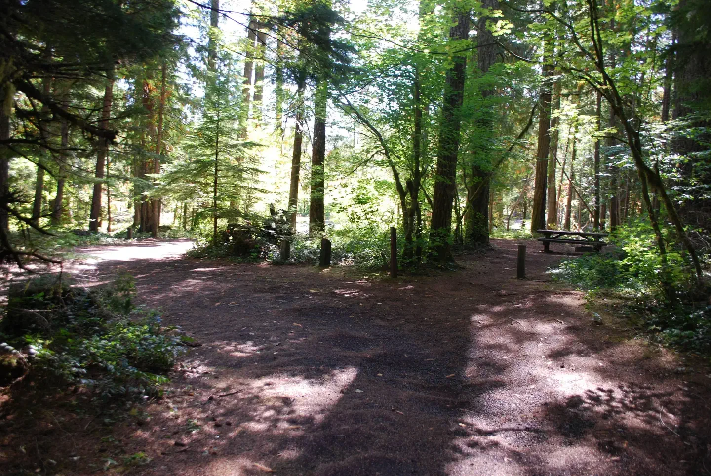 Moss Creek campground