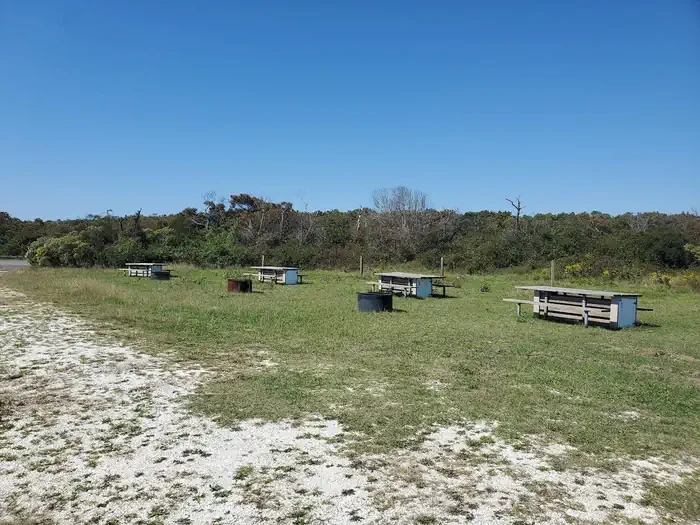 Horse Camp - A