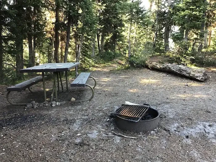 Lewis Lake site #38