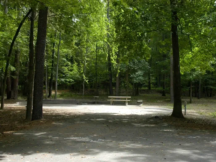 D24