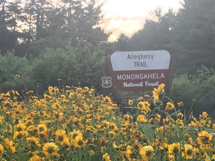 Pocahontas Campground