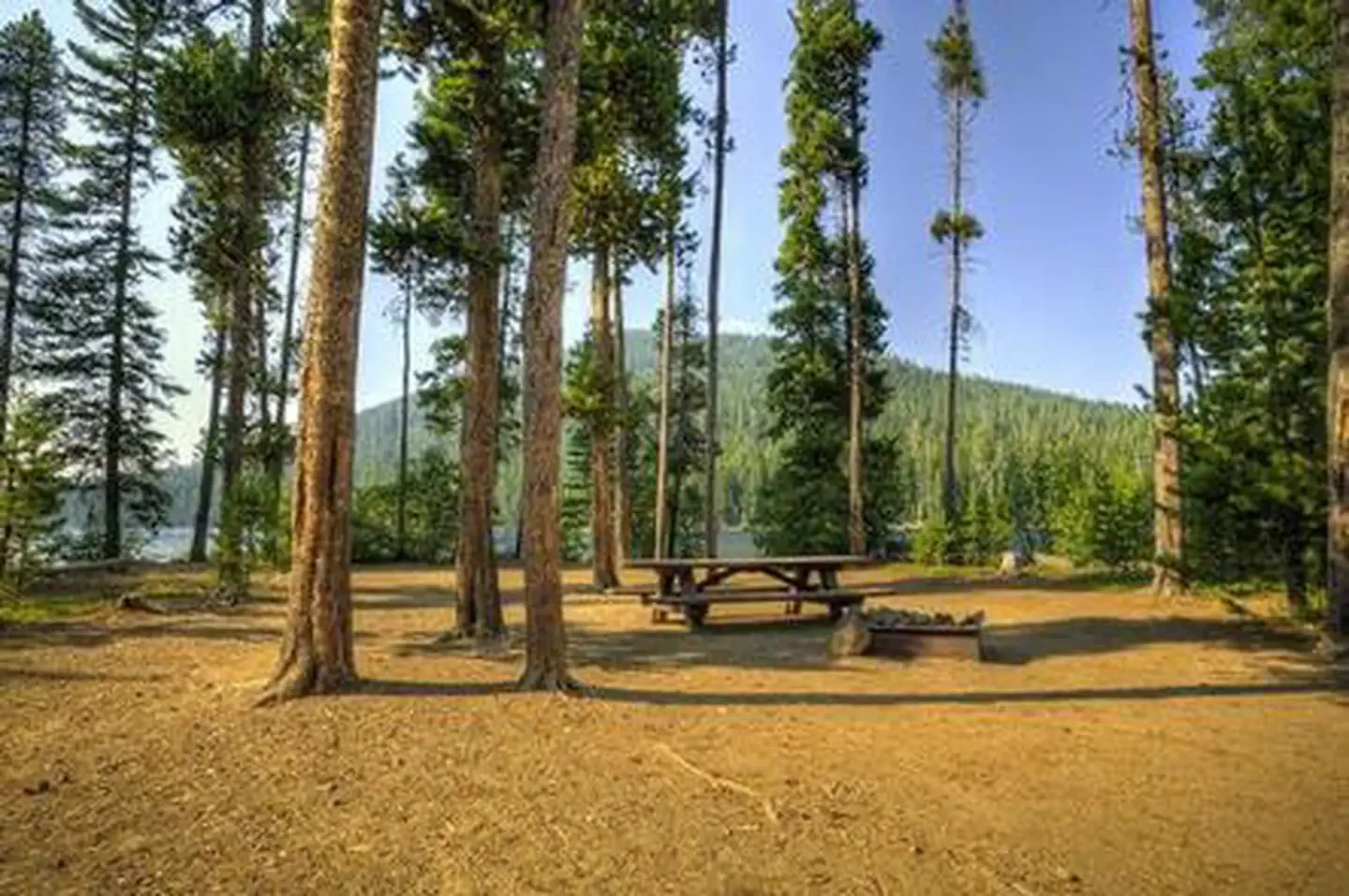 Little Cultus Campground