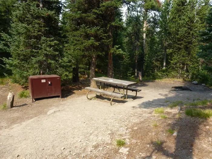 Lewis Lake site #77