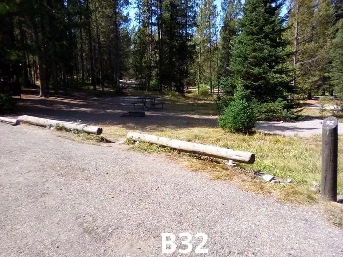 32