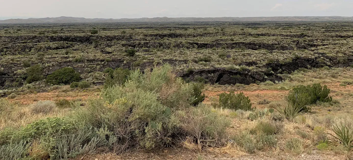Site 19
