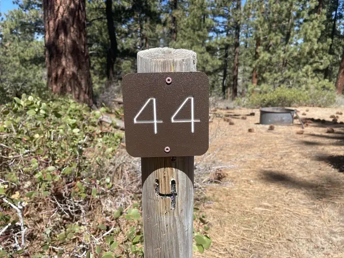 44