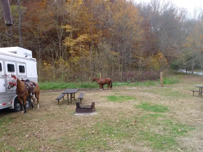 28 - Horse Site