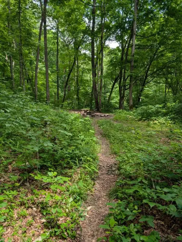 Raymer Hollow