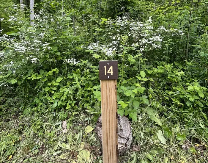 HD14