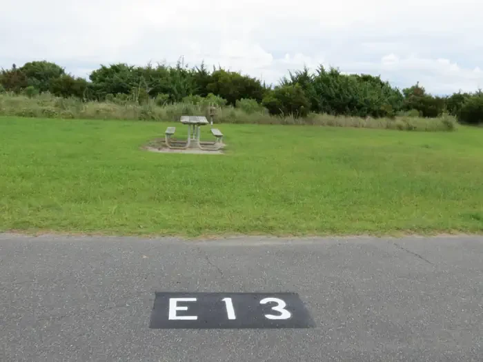 E013
