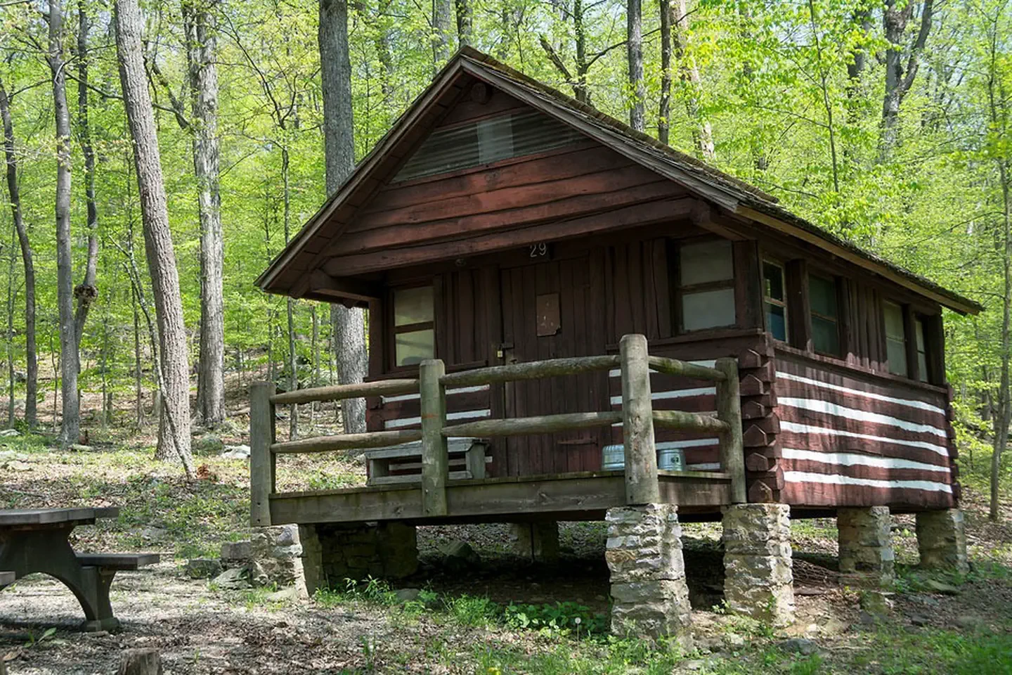 Cabin 29