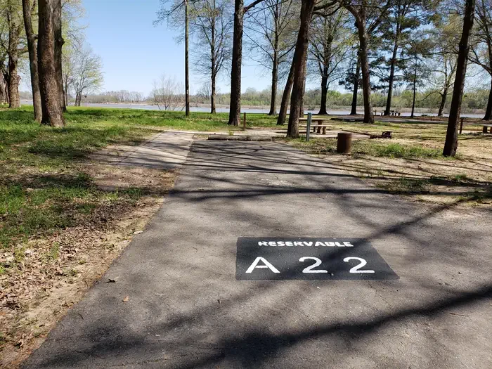 A22