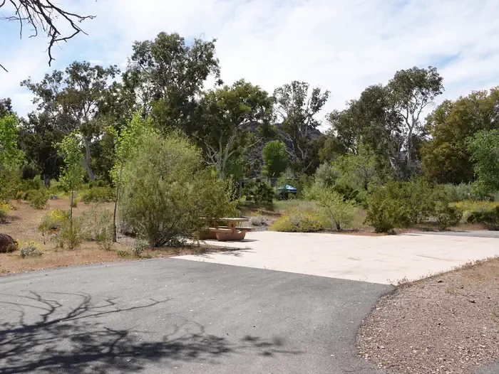 Site 47