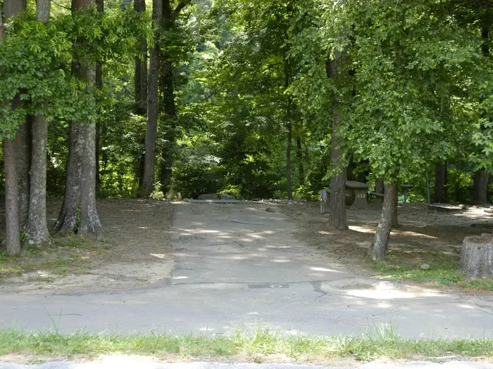 A06