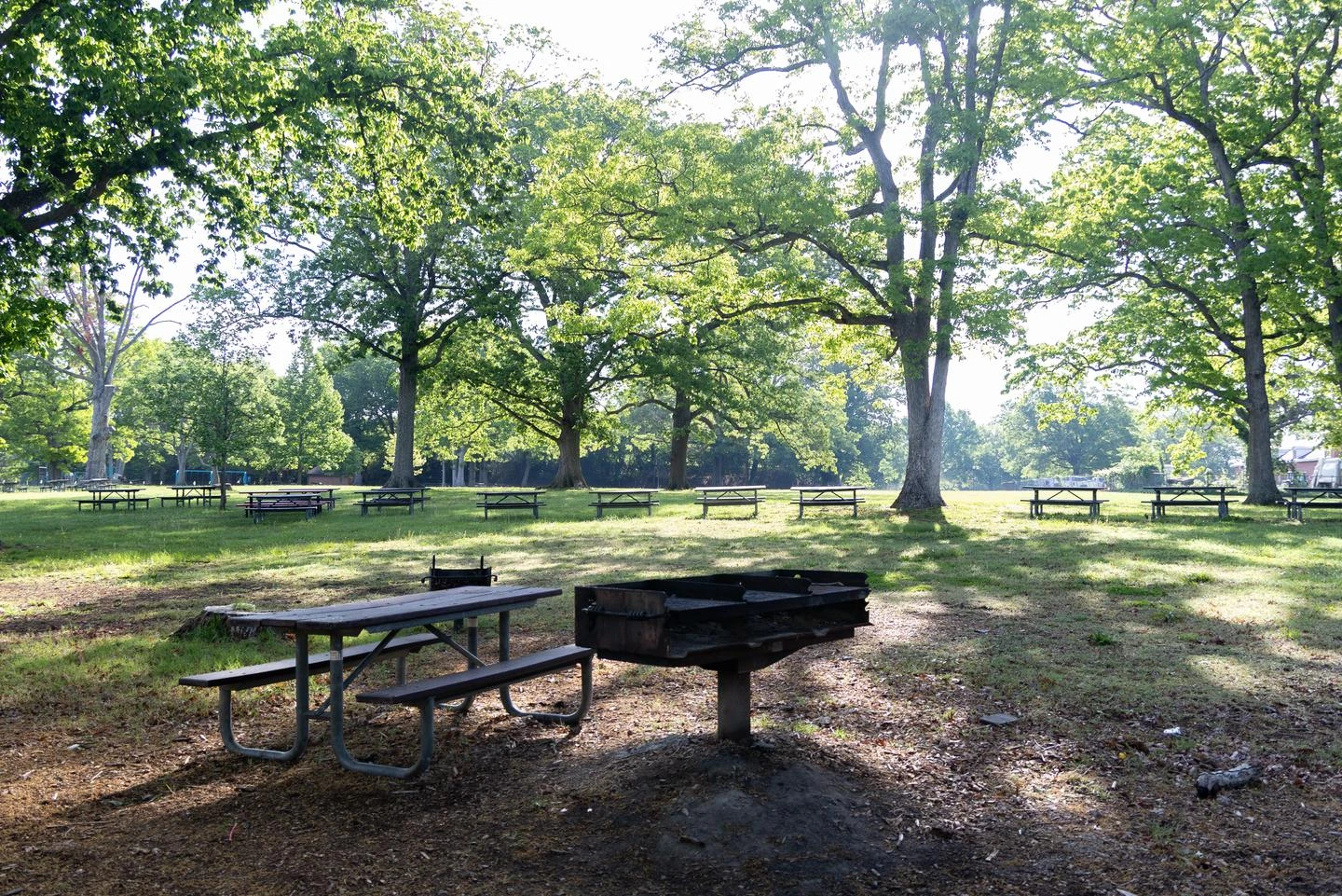 Area B3