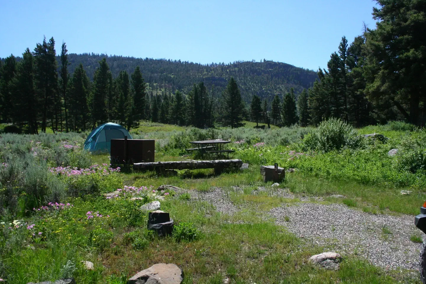Slough Creek site #15