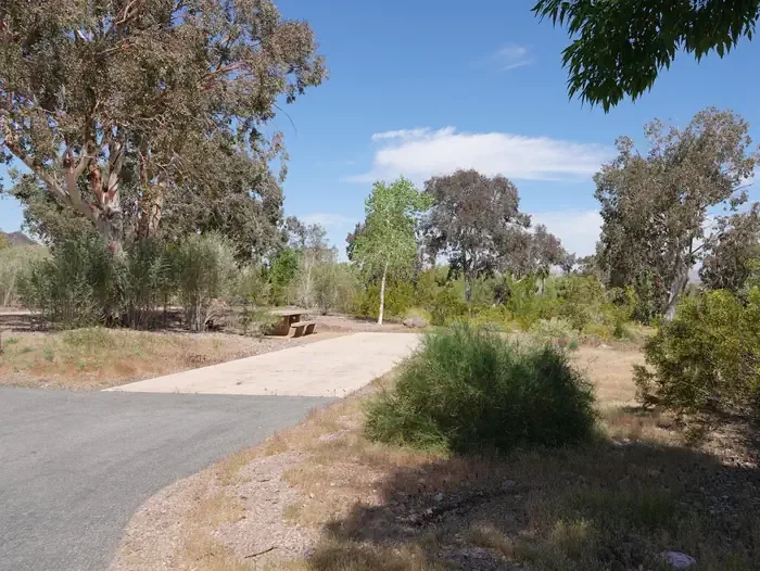Site 8