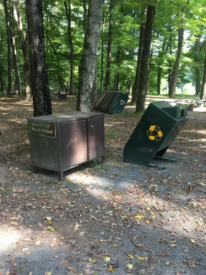 Site #3