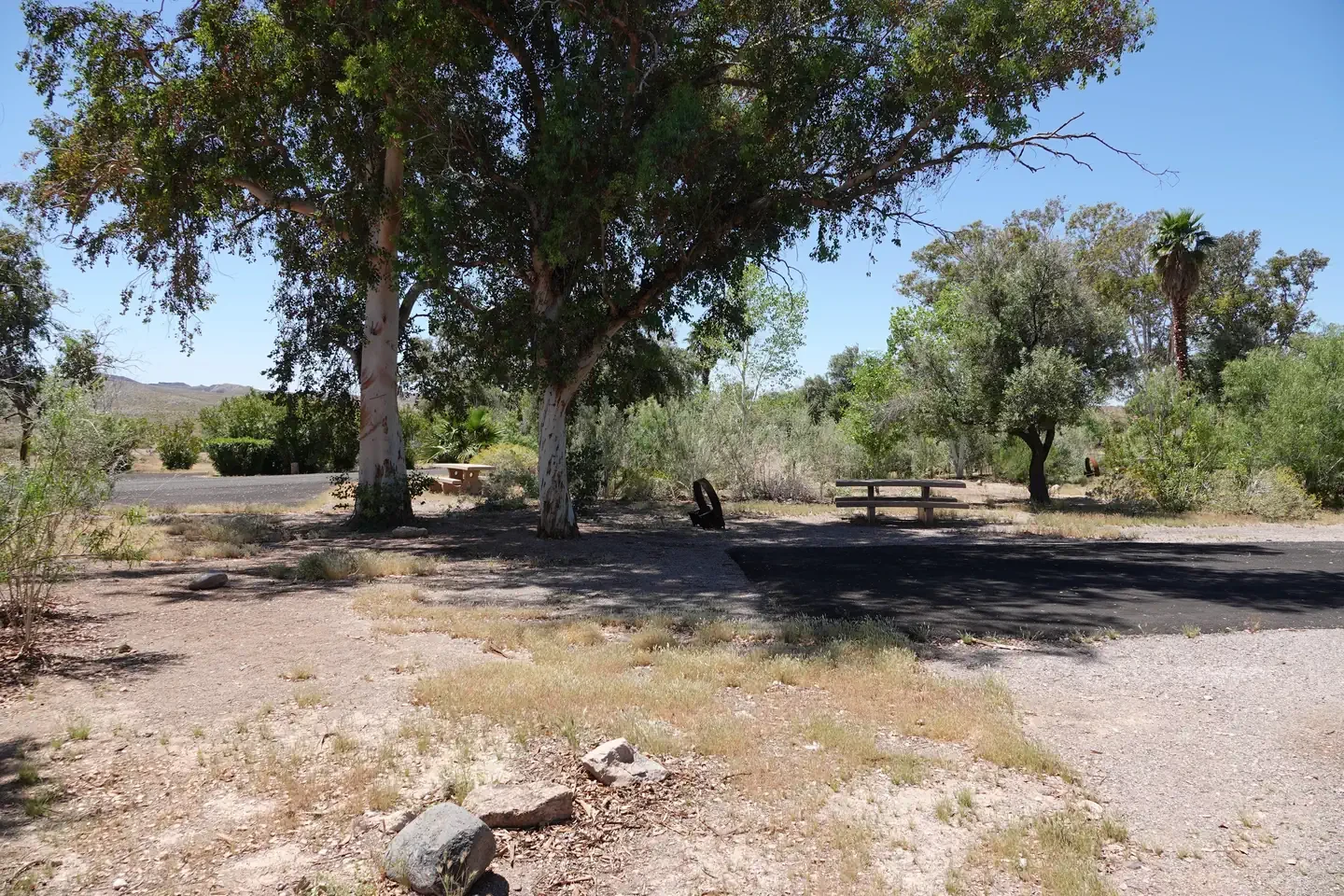 Site 41
