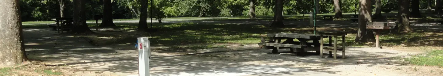 21 & 39