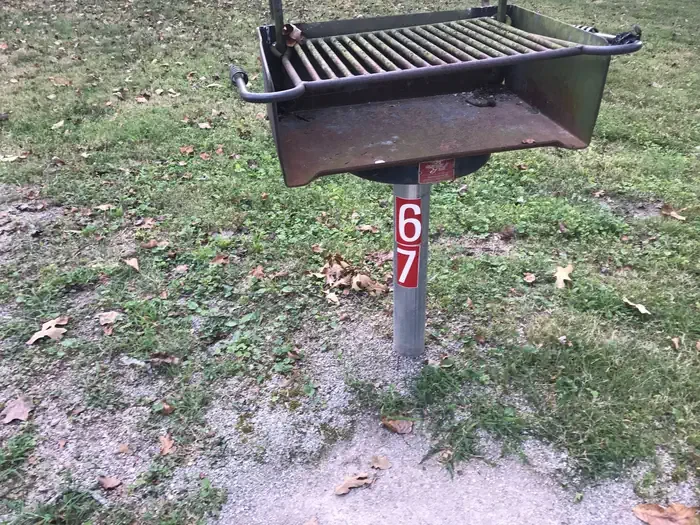 67