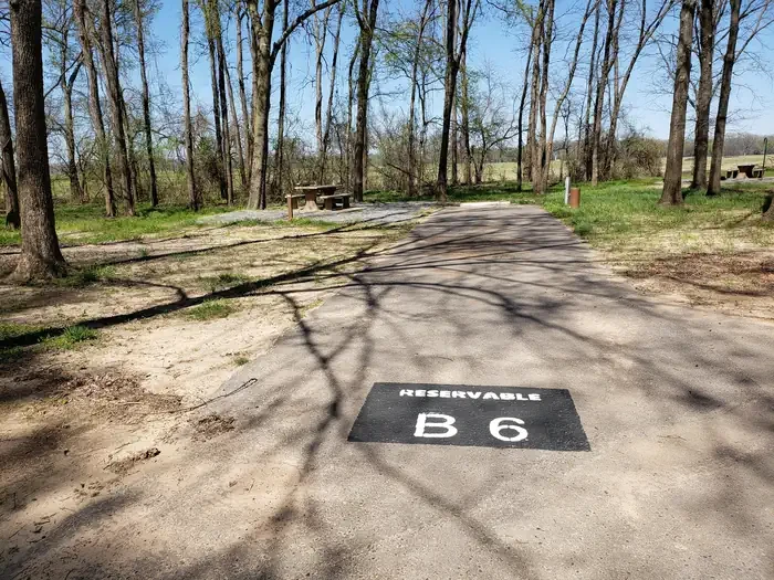 B6