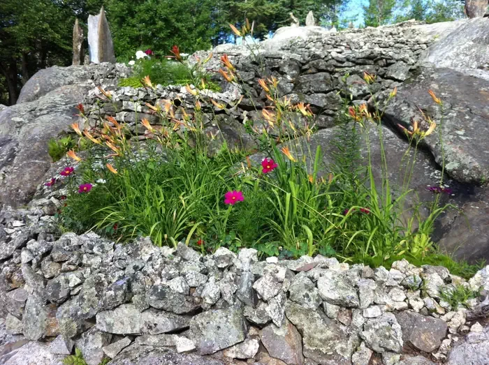 Ellsworth Rock Gardens Tour and Eagle Watch