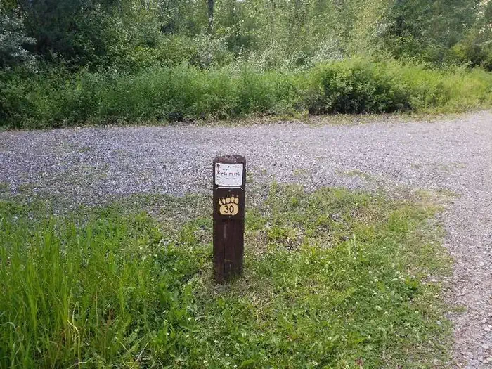 30
