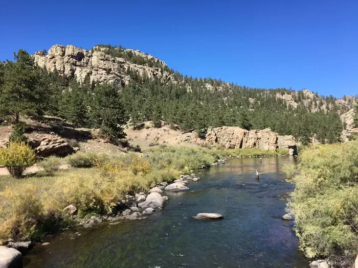 Springer Gulch