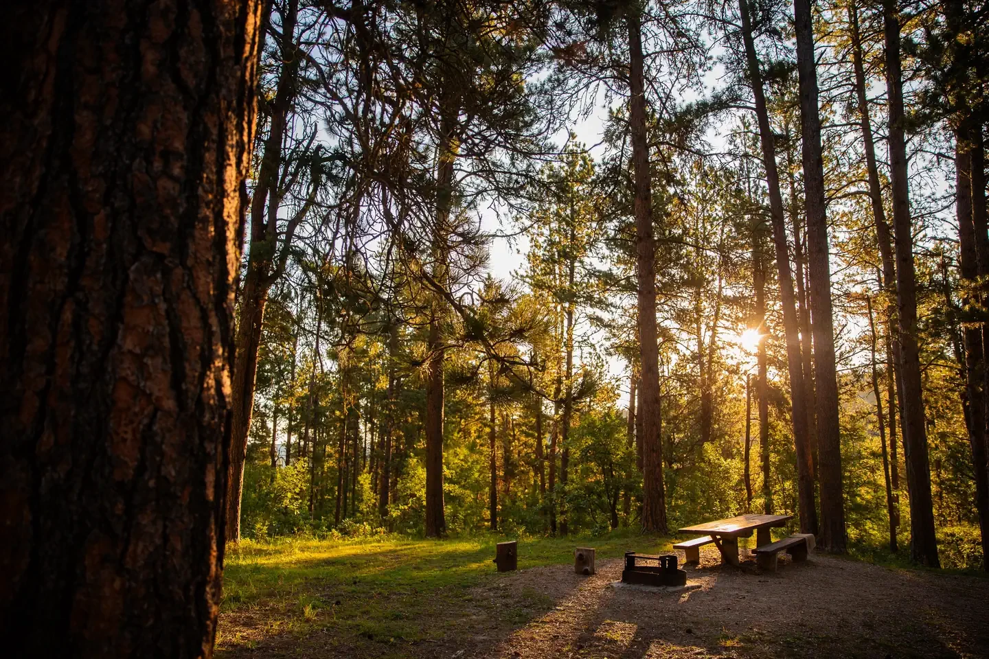 Cook Lake Campground