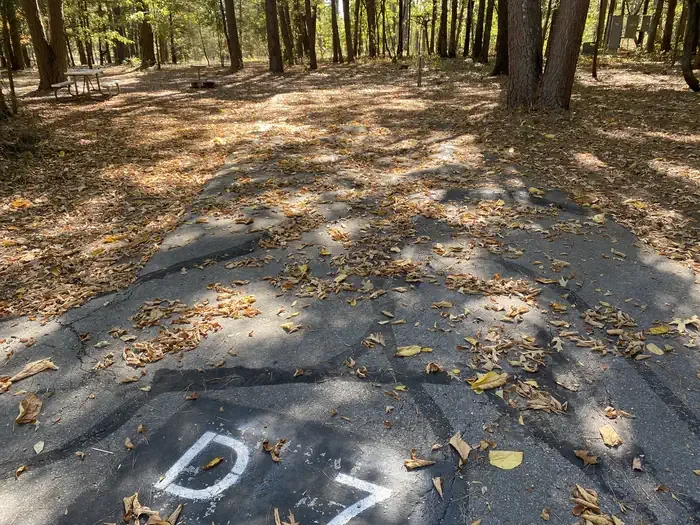 D07