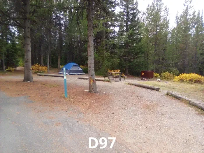 97