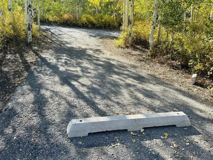 A13