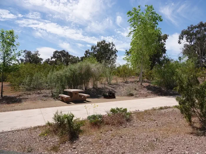 Site 19