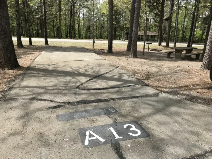 A13