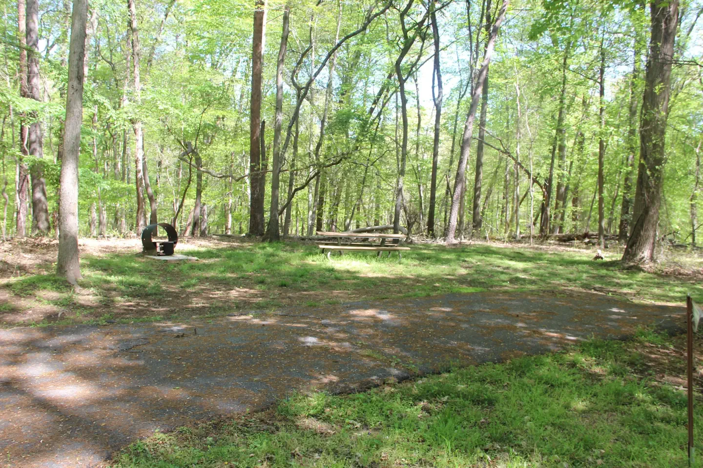 D126 Host Parking