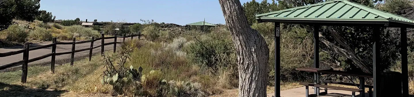 Site 21