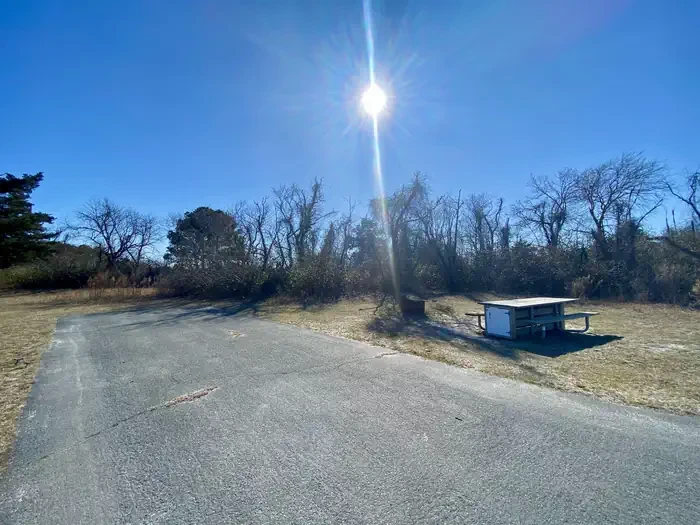 A08