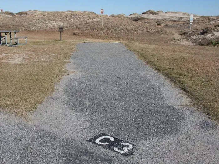 C003