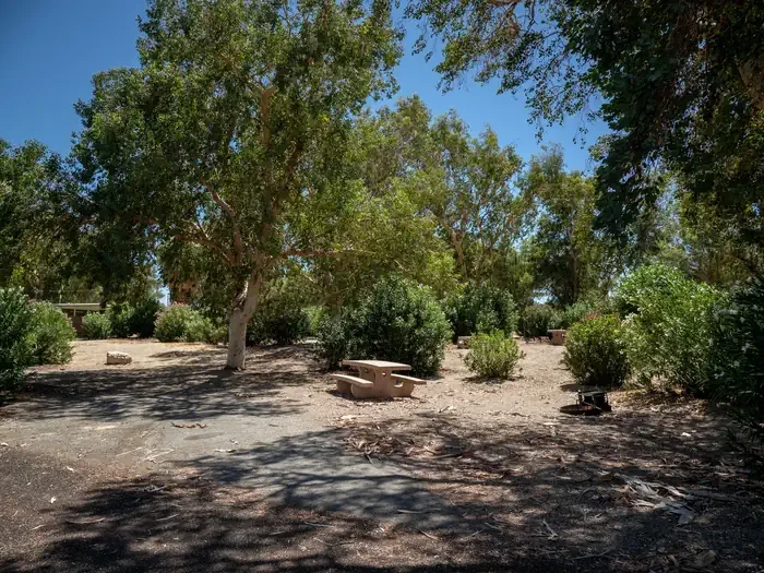 Site 19