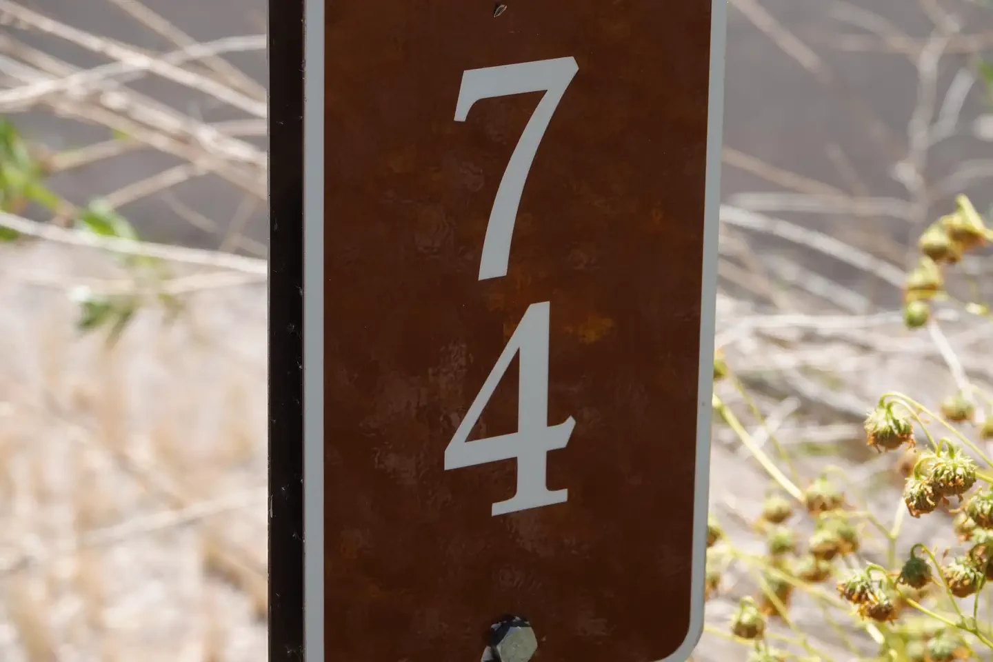 Site 74